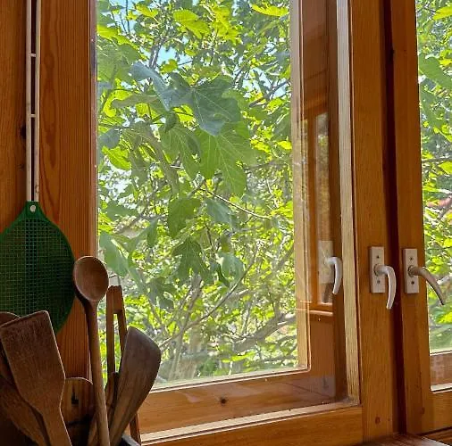 キャンプ場 Camping Kromidovo