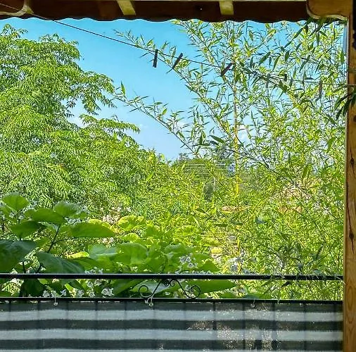 キャンプ場 Camping Kromidovo